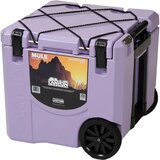 Lilac Purple