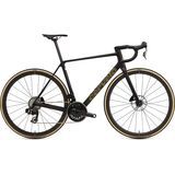 Black/Bronze