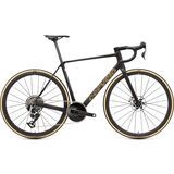Black/Bronze