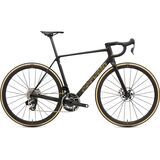 Black/Bronze