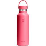 Popstar Pink
