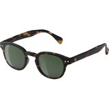 Tortoise/Green
