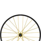 Gold, Front