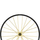 Gold Hub-Black Spoke, Rear