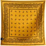 Paisley Amber Sun