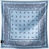 Paisley Pale Blue