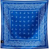 Paisley Stellar Blue