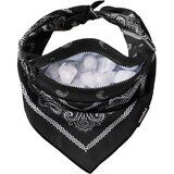 Paisley Black