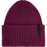 Winterberry