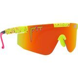 The 1993 Polarized