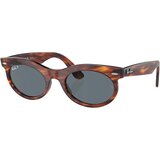 Striped Havana/Dark Blue Polar
