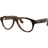 Havana/Transitions Brown