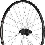 Black, Rear