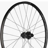 Black, Rear