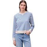 Pop Blue Stripe