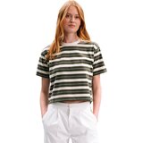 Surplus Green Stripe