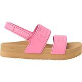 Pink Cosmos/Tan