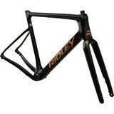 Black Metallic/Bronze Gold