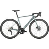 Whale Grey