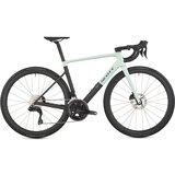 Frozen Green/Carbon Black
