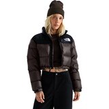 Dark Chestnut/TNF Black