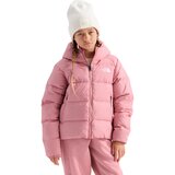 Polar Haze TNF Winter Dogs Print