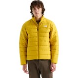 Pigment Yellow
