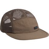 Desert Palm2