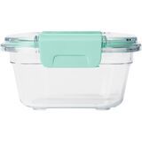 Seafoam