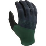 Evergreen Stripe
