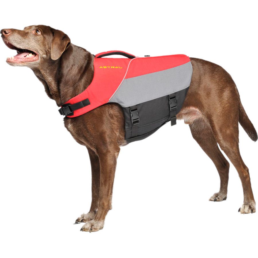 Astral Bird Dog Life Jacket | Backcountry.com