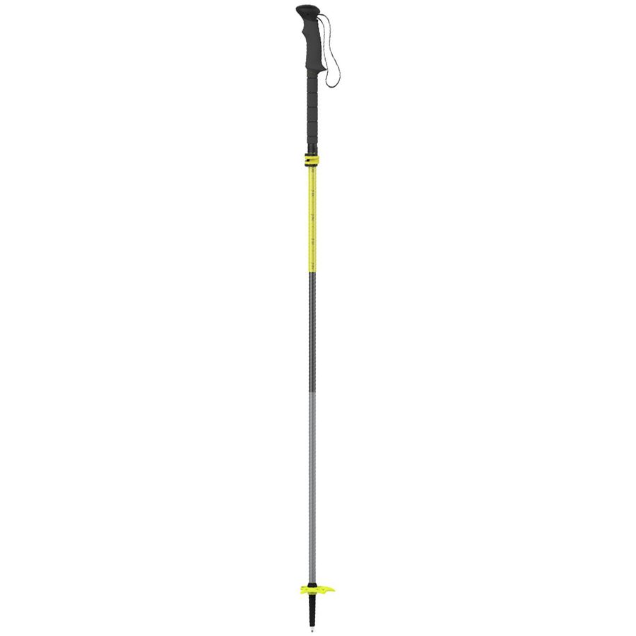 bca ski pole