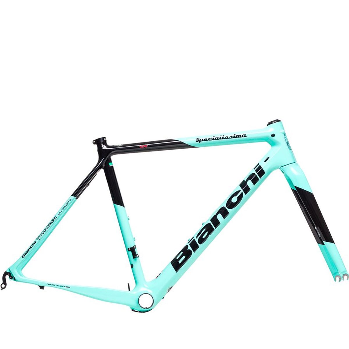 Bianchi discount carbon frame