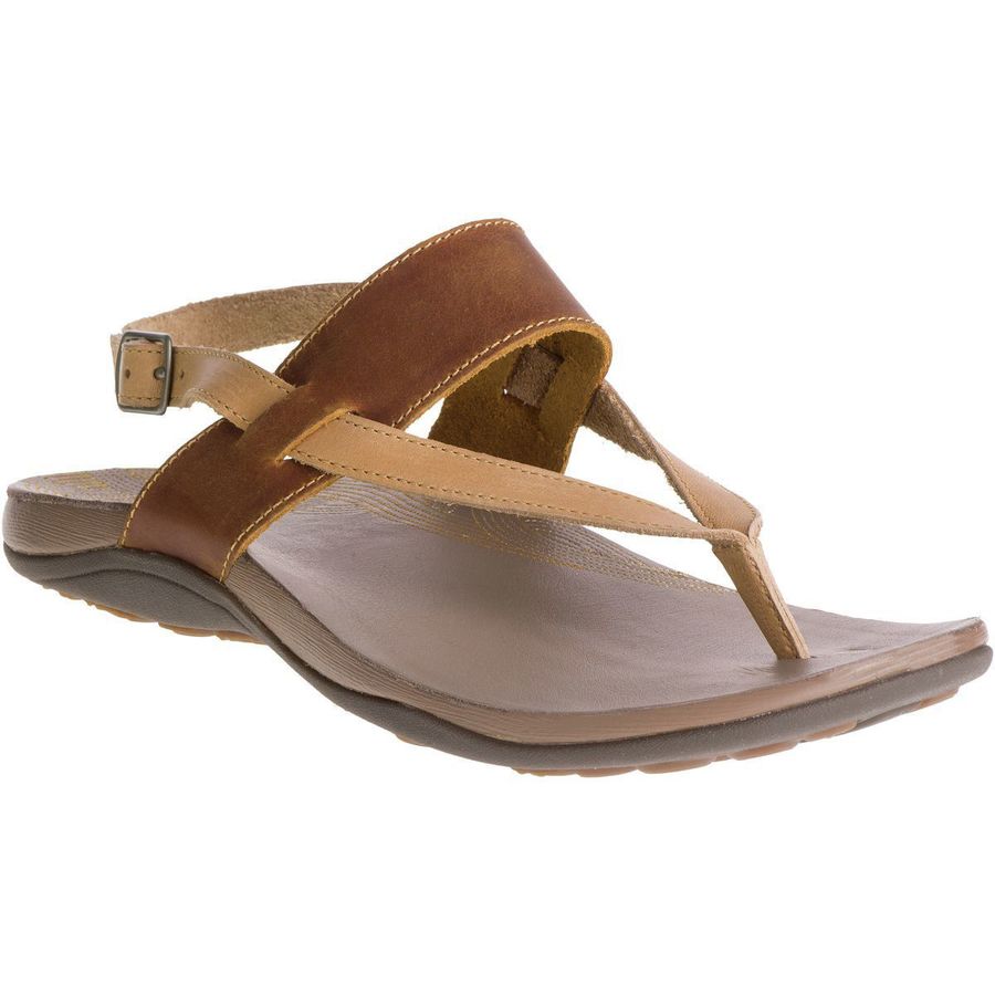 chacos maya