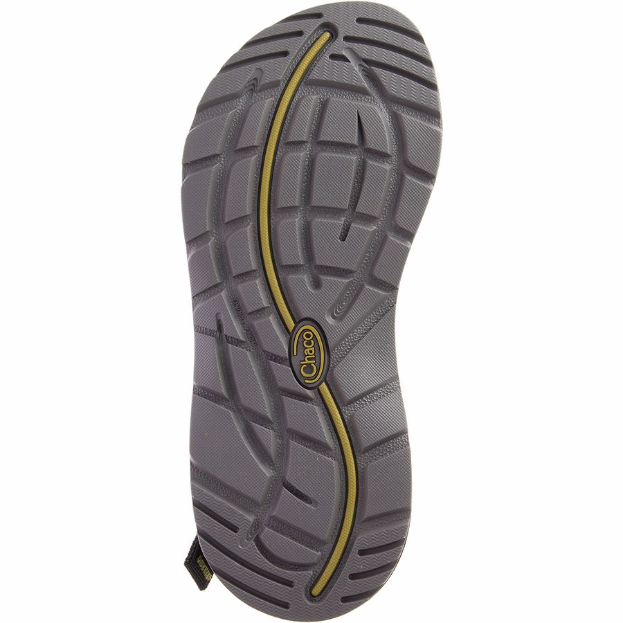 Chaco Women's Z Cloud Sandals - Level B+W