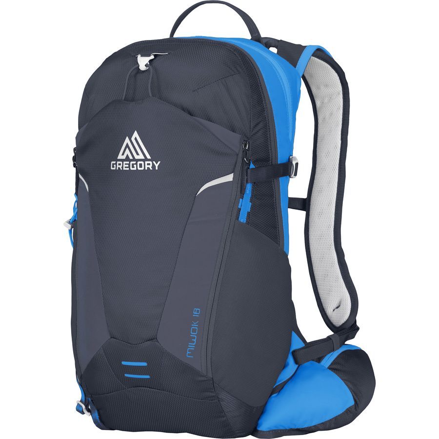 Gregory Miwok 18L Backpack