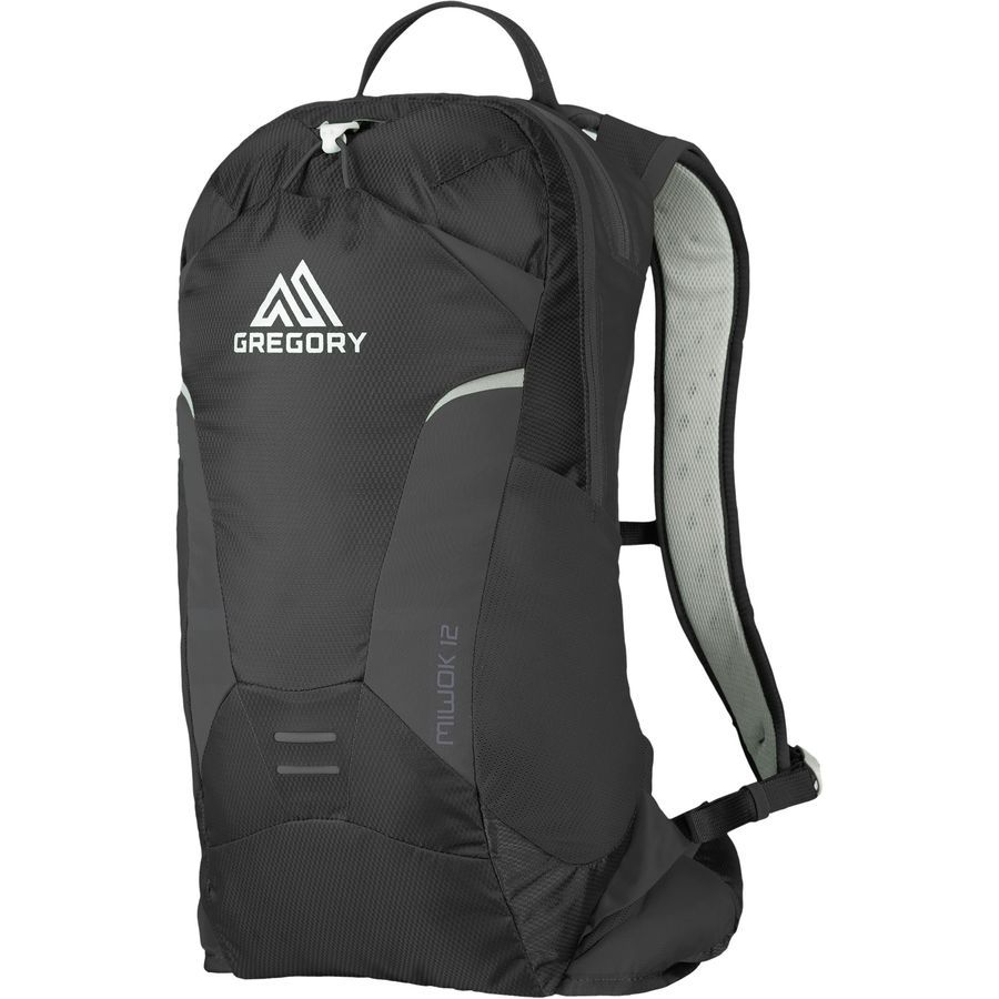 Gregory Miwok 12L Backpack