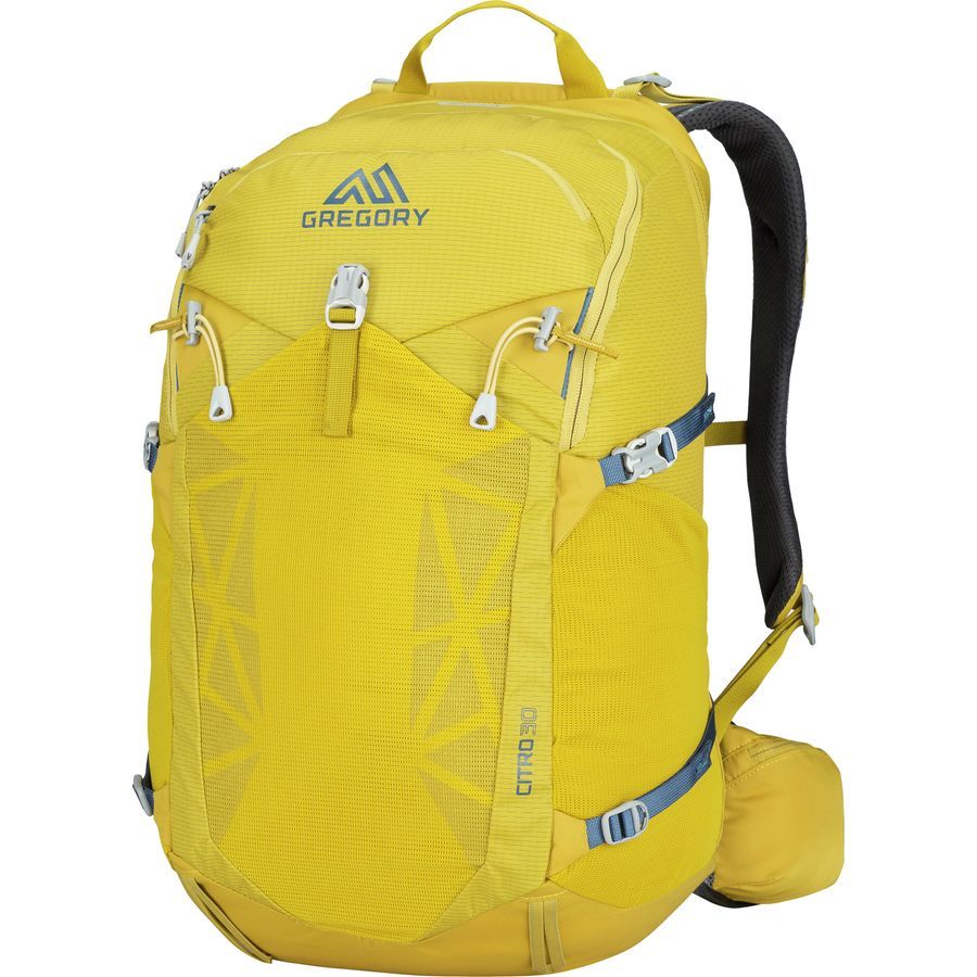 Gregory Citro 30L Backpack