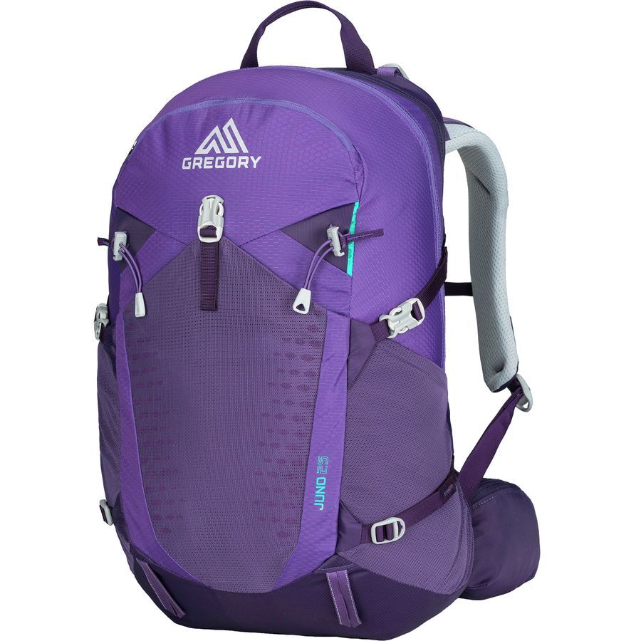 gregory 25l backpack