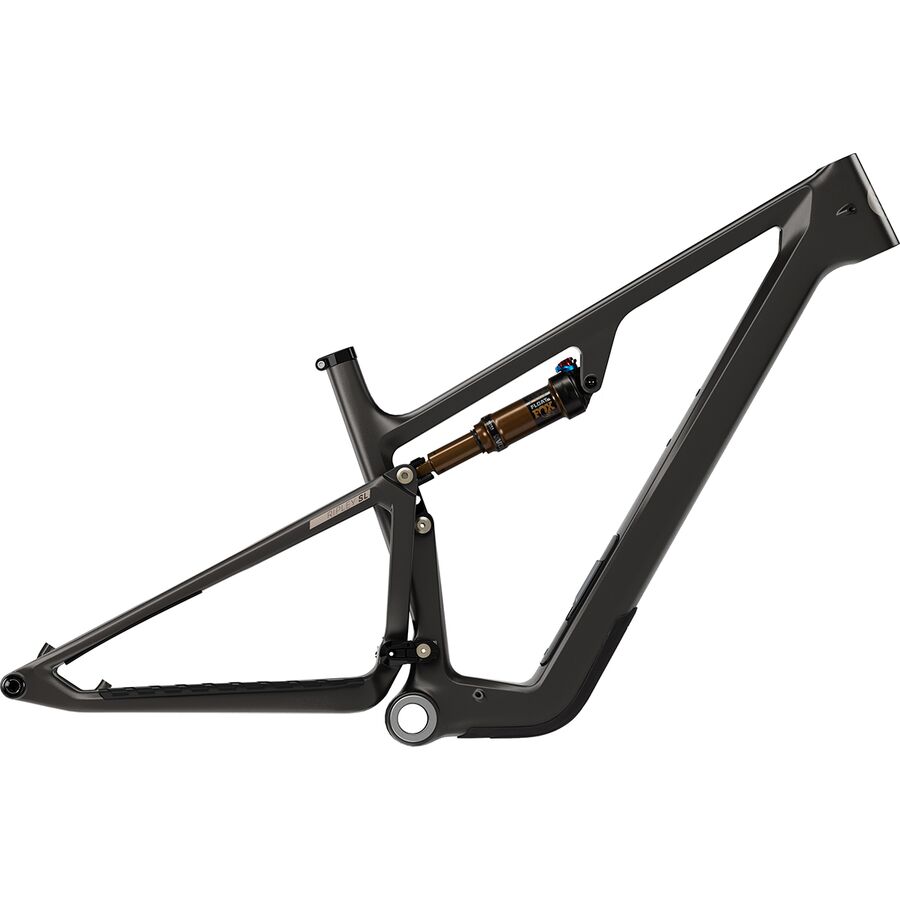 Ripley SL Mountain Bike Frame