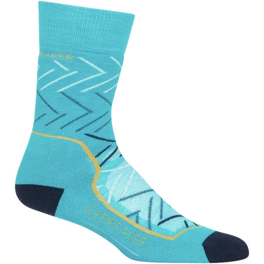 Icebreaker Hike+ Mid Anatomical Crew Sock Women's Accessories