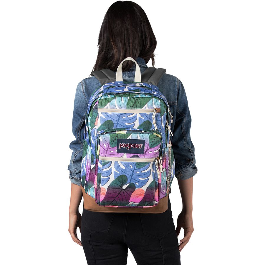 JanSport Cool Student 34L Backpack | Backcountry.com
