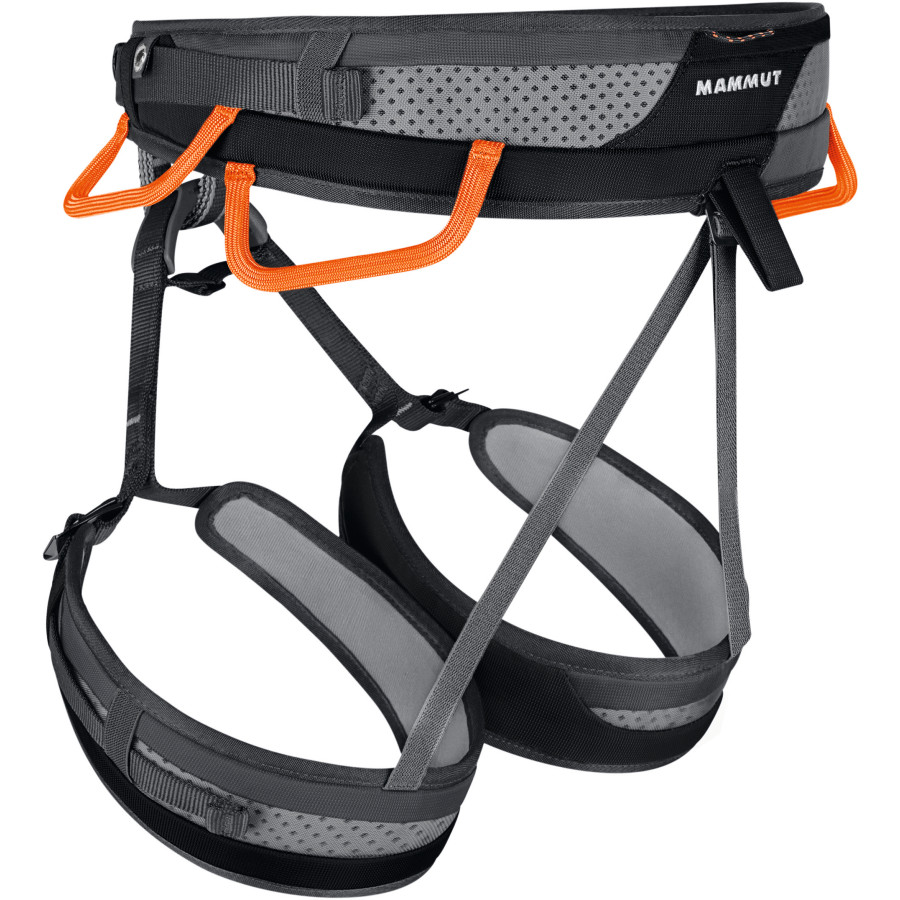 mammut ophir