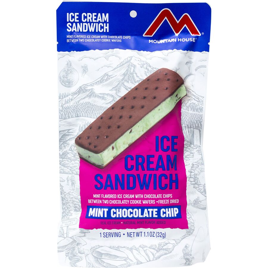 Mint Chocolate Chip Ice Cream Sandwich