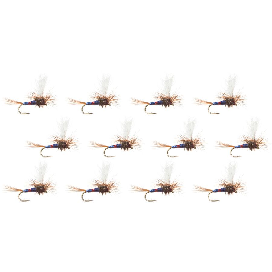 Para-Wulff - 12-Pack