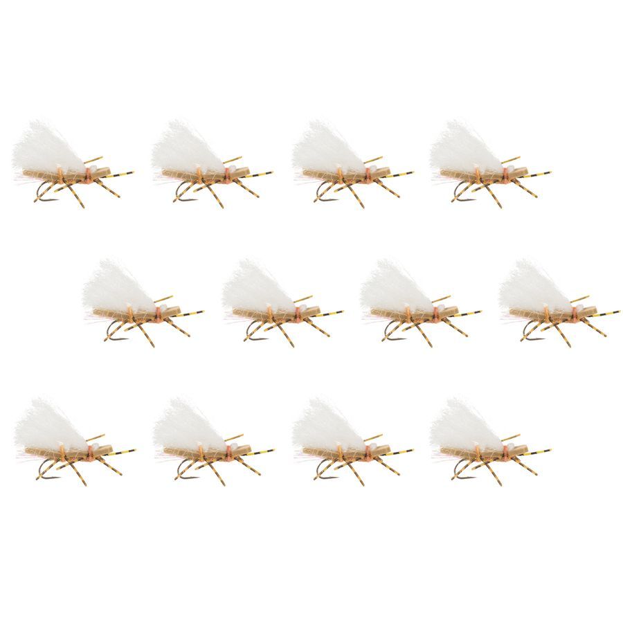 Chubby Chernobyl - 12-Pack
