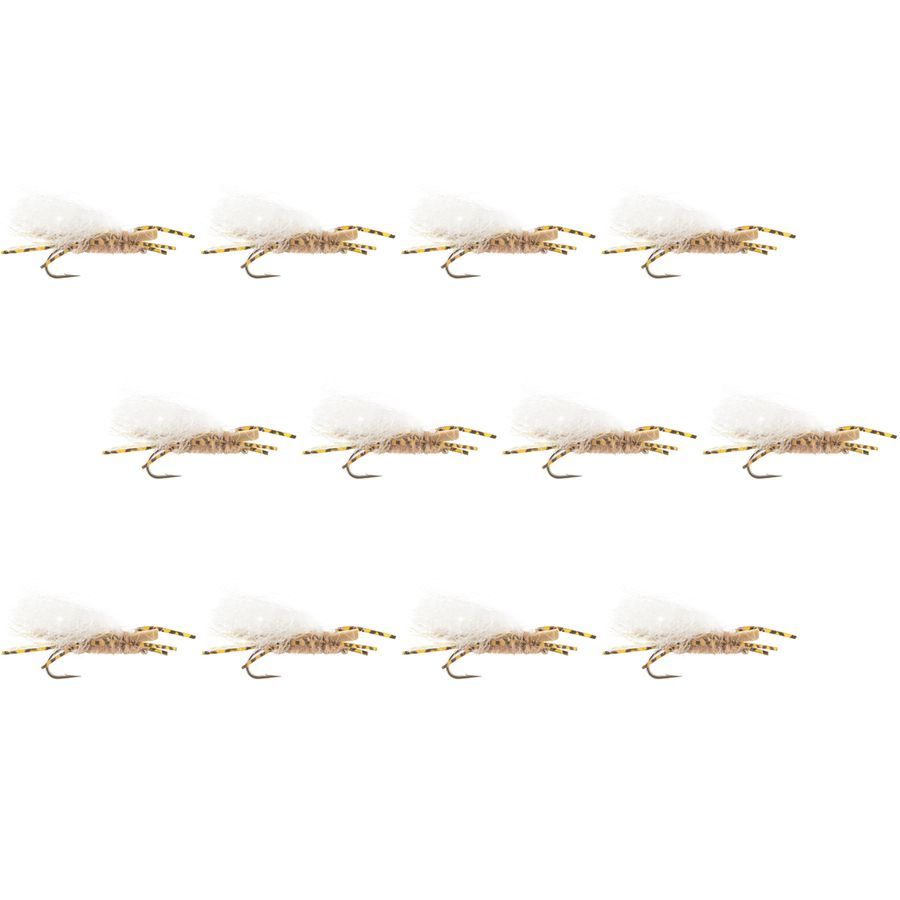 Chubby Chernobyl - 12-Pack