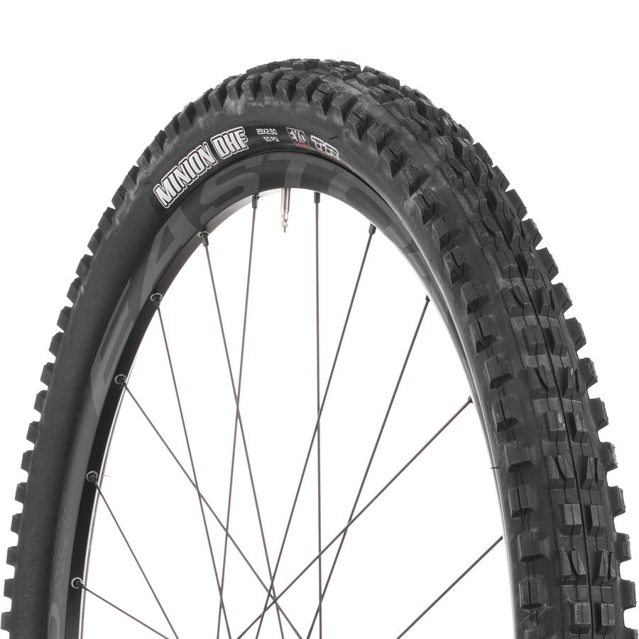 Minion DHF Dual Compound/EXO/TR 29in Tire