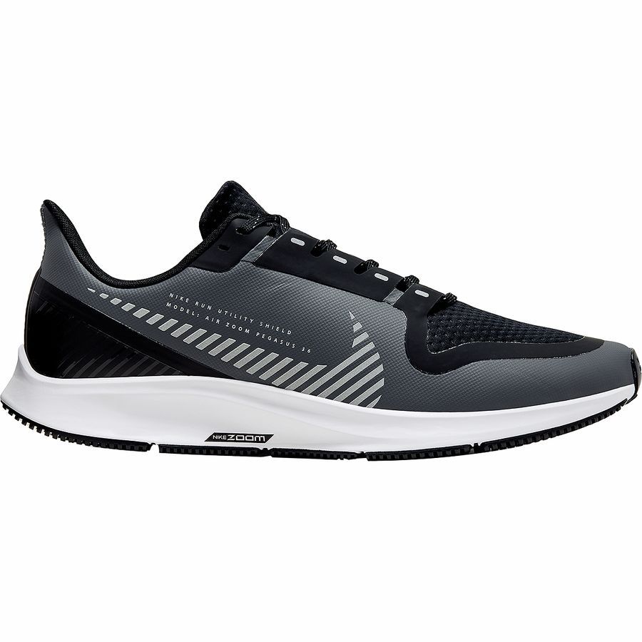 pegasus 36 shield review