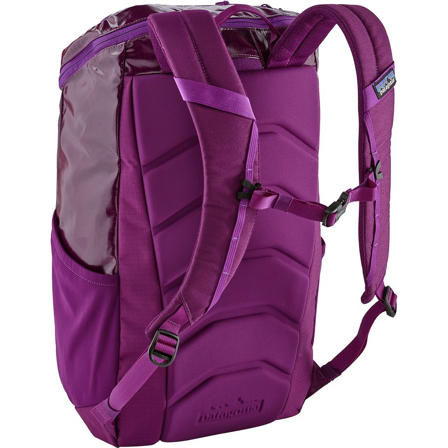 Patagonia Black Hole 25L Backpack